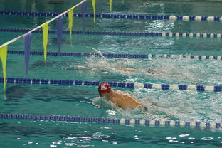 爱游戏体育-全国公开水域游泳赛长江赛段人气爆棚