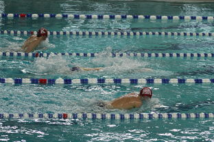 爱游戏体育-全国公开水域游泳赛长江赛段人气爆棚