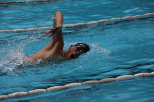 爱游戏体育-全国公开水域游泳赛长江赛段人气爆棚