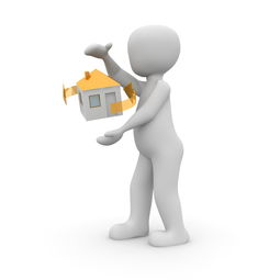 爱游戏app下载-中国篮球对外援依赖程度的结构性分析，中国篮球对外援依赖程度的结构性分析